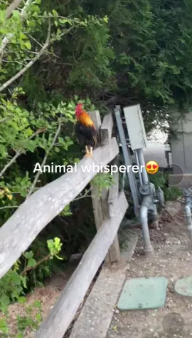 Throwback vid from 3yrs ago #fyp #foryou #talent #viral