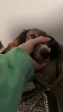 Just jorking my wiener 