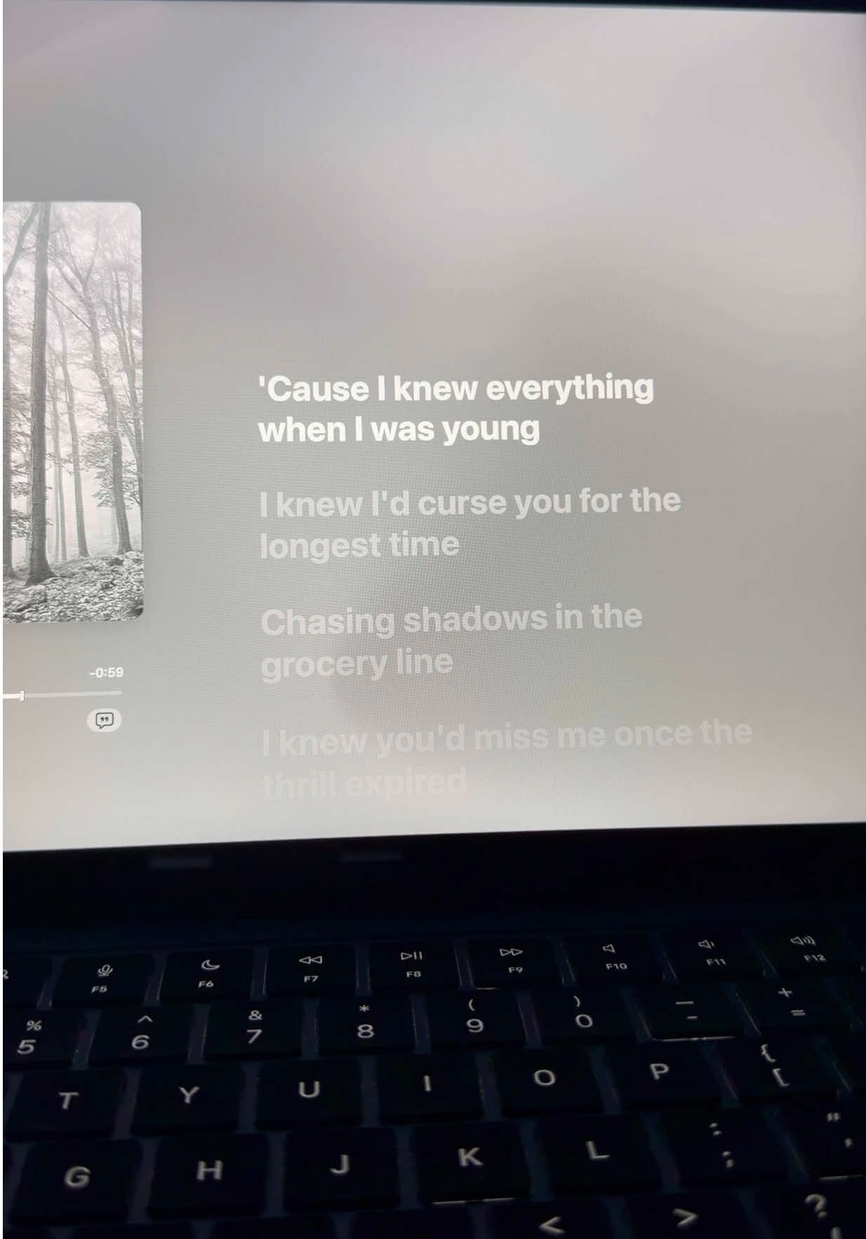 #cardigan #lyrics #song #fyp 