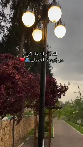 #لقد عاد الشتاء ولاكن من يعيد لنا الاحباب