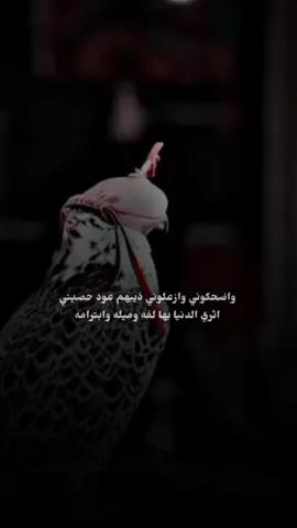 واضحكوني وازعلوني ذيبهم عود حصيني    #fyppppppppppppppppppppppp #