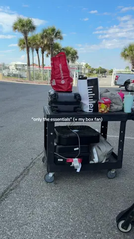 she goes everywhere I go, ok 😂