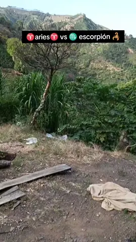 #signoszodiacales #aries #fpy #viraltiktok #paratiiiiiiiiiiiiiiiiiiiiiiiiiiiiiii 