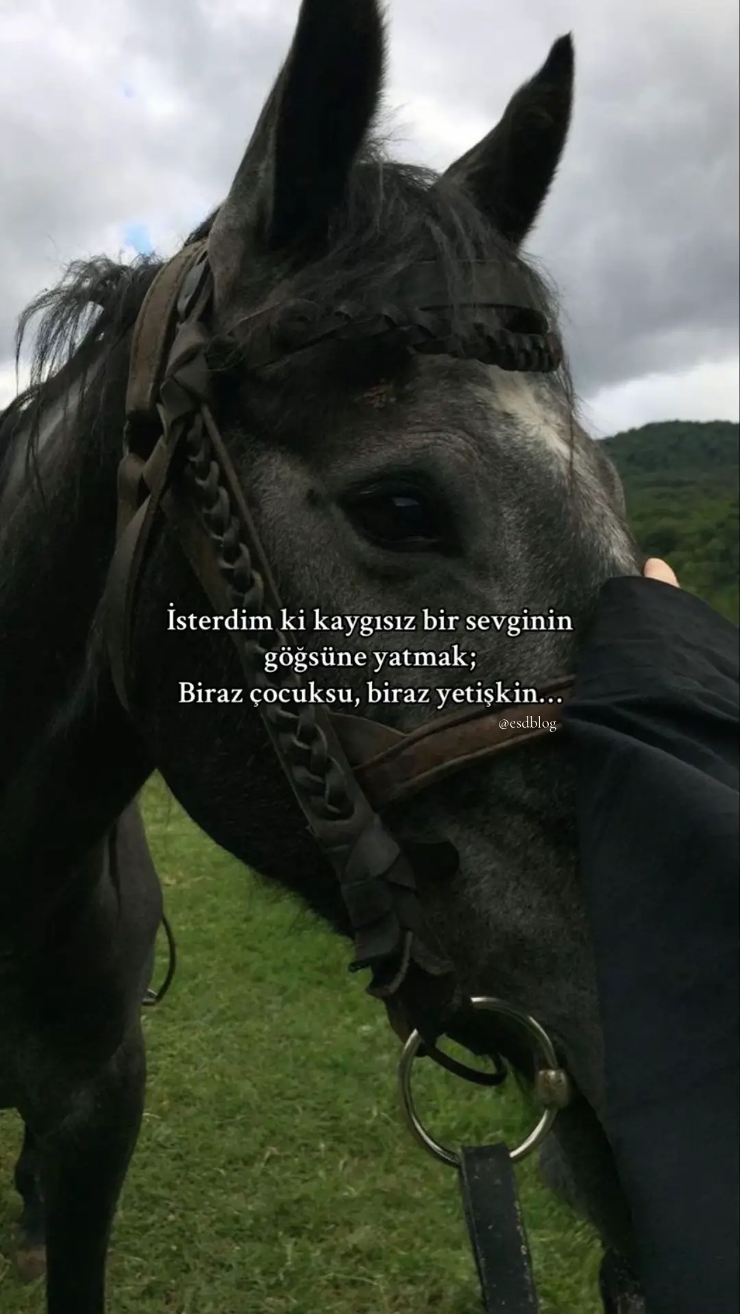 -biraz çocuksu, biraz yetişkin… #keşfet  #keşfetteyiz  #trend #keşfetbeniöneçıkart #atsenfonisi