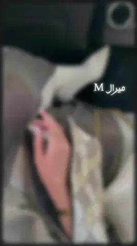 #شيرين_عبد_الوهاب #fyp 