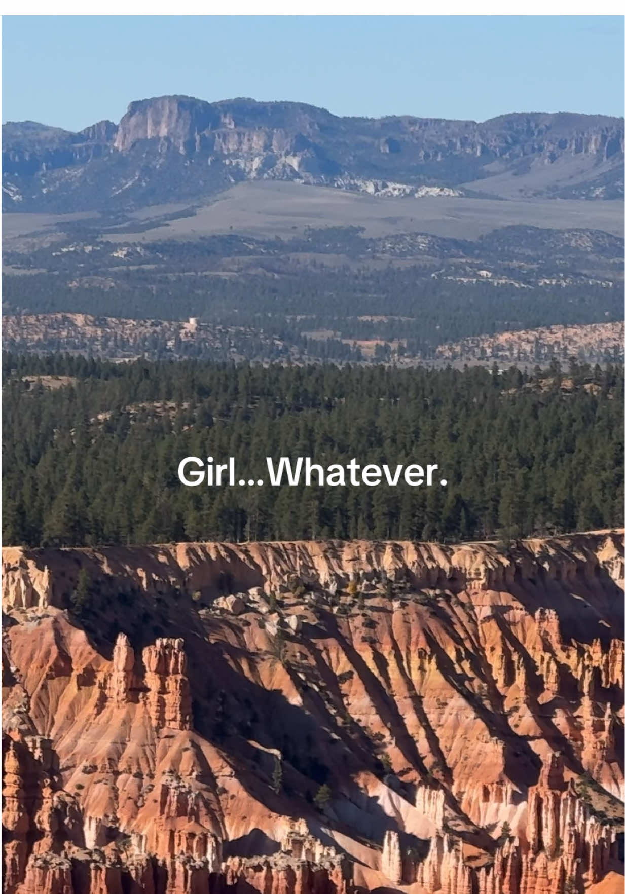 Go touch some grass! #naturelover #getoutside #granolagirl 