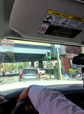 Cucarachas Alemanas y cucarachas Americanas. Cuales tienes tu? Saves la diferencia? 