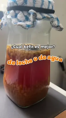 Kefir de leche o de agua? 😉 aquí te decimos cuál es mejor 💚 #kefir #kefirser #kefirdeagua #kefirdeleche #bulgarosdeleche 