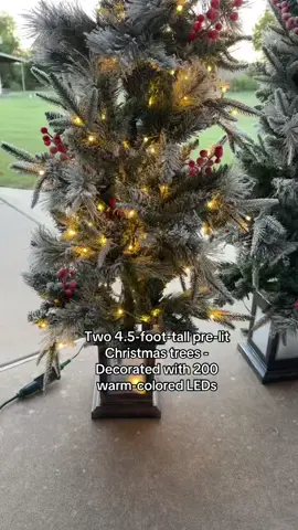 These little Christmas Trees are so perfect for the holidays.  @GARVEE  #christmastree #christmasdecor #christmastreedecor 