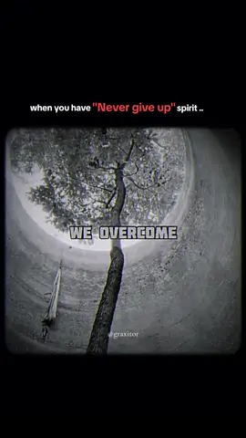 When you decide that you will move forward no matter what the circumstances are, then no one can stop you. #powerful #mindset #mentality #edit #viral 