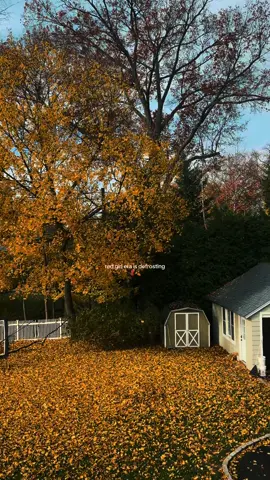 everyone will be in their showgirl era but mentally I’ll be here #autumn #taylorswift #red #fall #fyp 