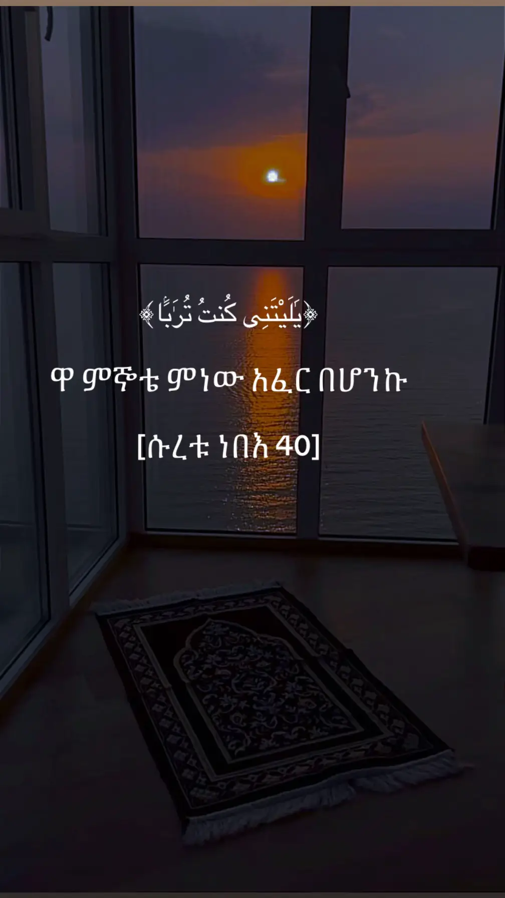 #القران_الكريم_راحه_نفسية😍🕋 #اكسبلور #غزة 🫀🇵🇸💚🇸🇦🤍🦋🥀🫀