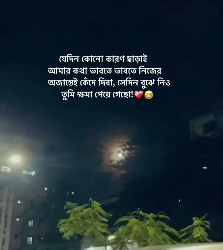 আমার কথা ভাবতে ভাবতে নিজের অজান্তেই কেঁদে দিবা,সেদিন বুঝে নিও তুমি ক্ষমা পেয়ে গেছো! ❤️‍🩹😅