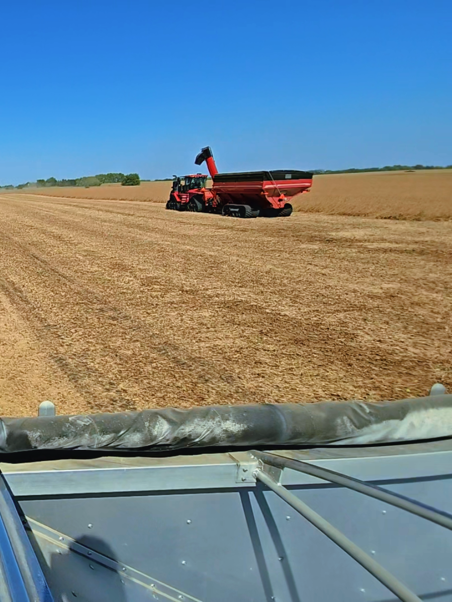 Friday words of wisdom #beautiful #wilsontrailers #fall #harvest #friday 