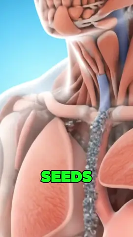 What happens if you eat chia seeds?