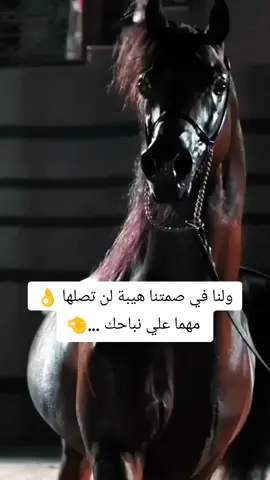 #خيل_وخياله🐎  #خيل_وخياله🐎🖤ماشاءالله_اللهم_بارك🧿♥️  #مجرد________ذووووووق🎶🎵💞  #اقتباسات_عبارات_خواطر🖤  #المصمم_بوهيبه🎬بوهيبه🎵 