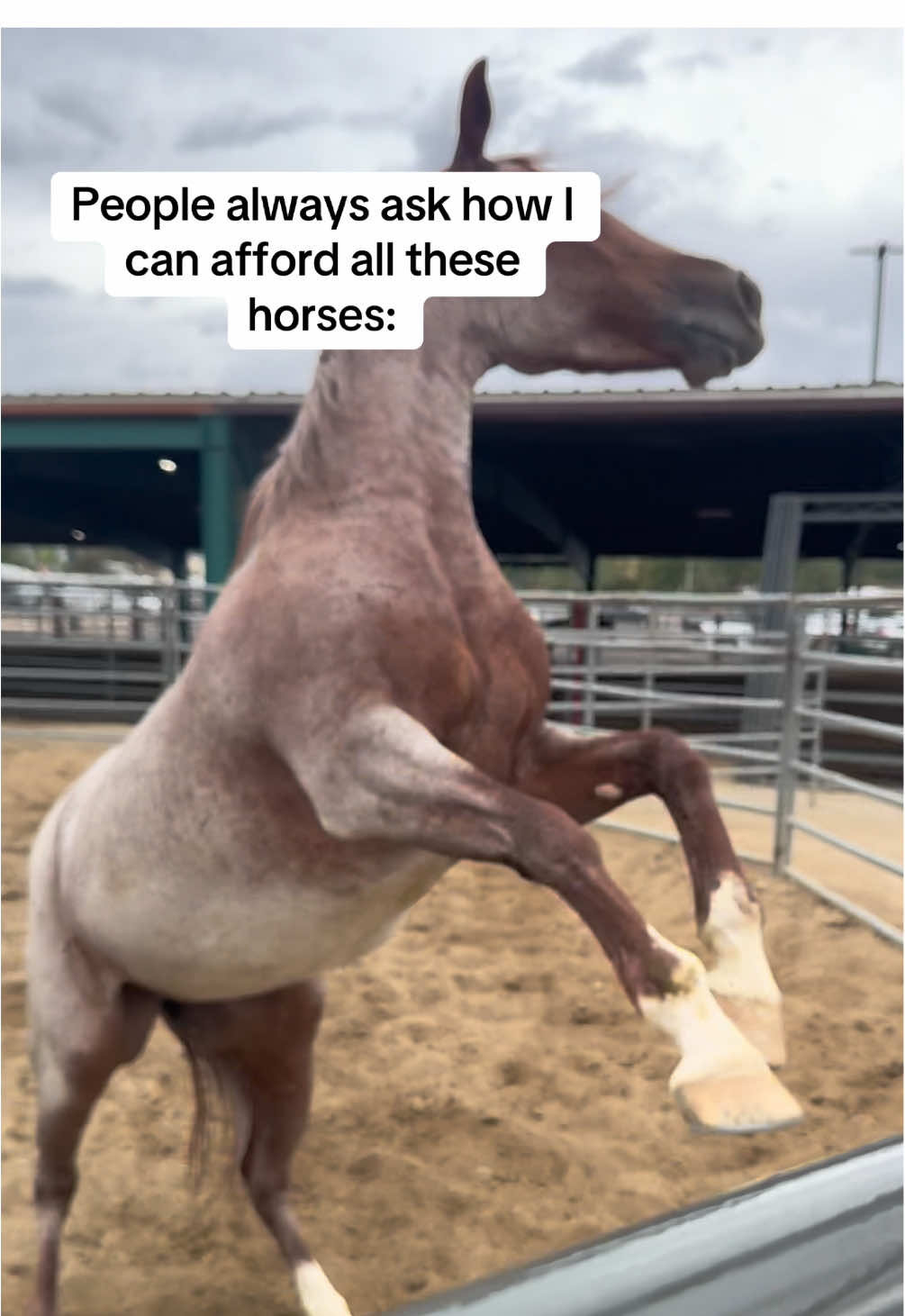 I honestly can't tell you how much of a difference maker it is for only 15 mins a day. Comment below if you want help doing it too! #sidehustle #savingmoney #noise #rcw54