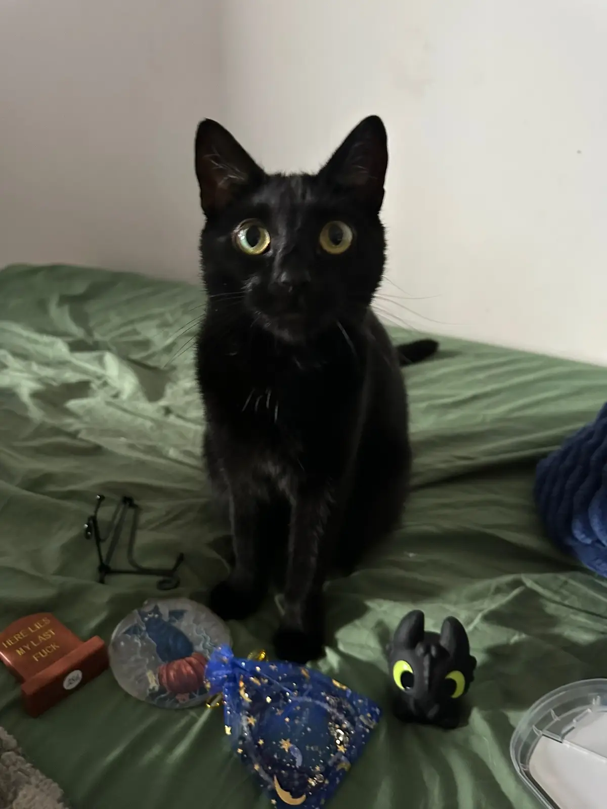 Obsessed with my cat and crystals✨🖤🐈‍⬛