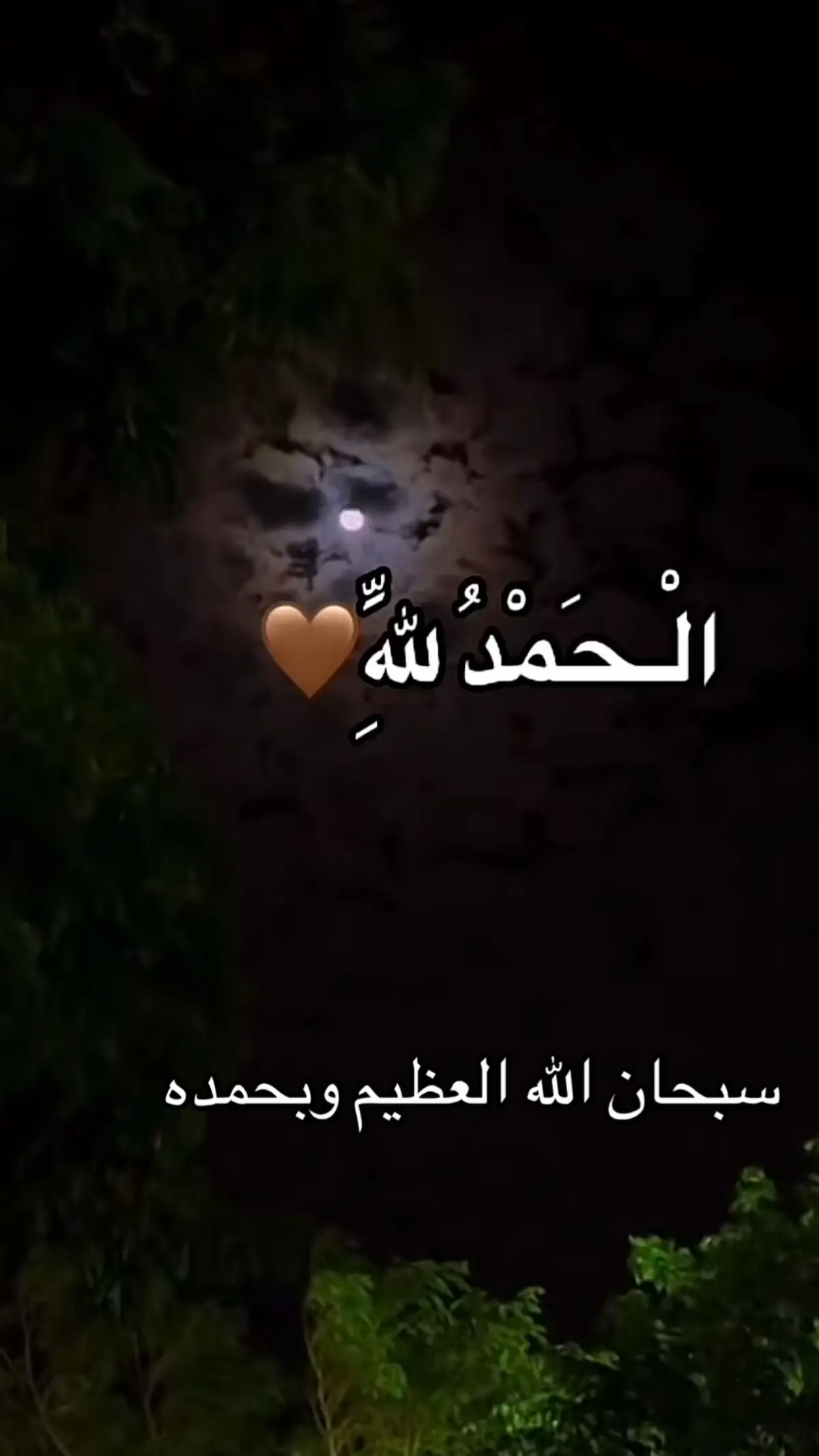 #سبحان_الله_وبحمده_سبحان_الله_العظيم 
