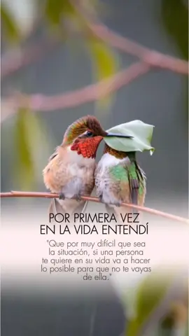 Frases #frase #reflexion 