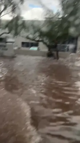 Arizona floods #az #floodingwarning #storm 