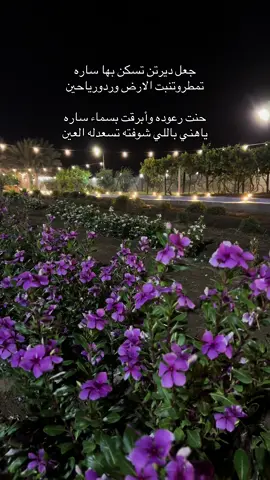 #بيشه_الجنوب_عسير_ابها_الرياض_الدمام #مشاهير_التيك_توك #ترندالمشاهير❤️💤 #اكسبلورررررررررررررررررررر #ترندات 