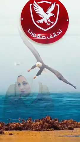 الأستاذة رؤية العبدالله 🦅 @rouya abdullah @إعلام الست رؤية عبدالله نجم 🦅 @Ali Modher @رؤية عبدالله نجم @دعم ست رؤية عبدالله نجم 🦅 @داعمين الست رؤية عبدالله نجم🦅 @asara @محبين السيدة رؤية عبدالله نجم #الصقور🦅🦅💙💙💙 #الشعب_الصيني_ماله_حل😂😂 