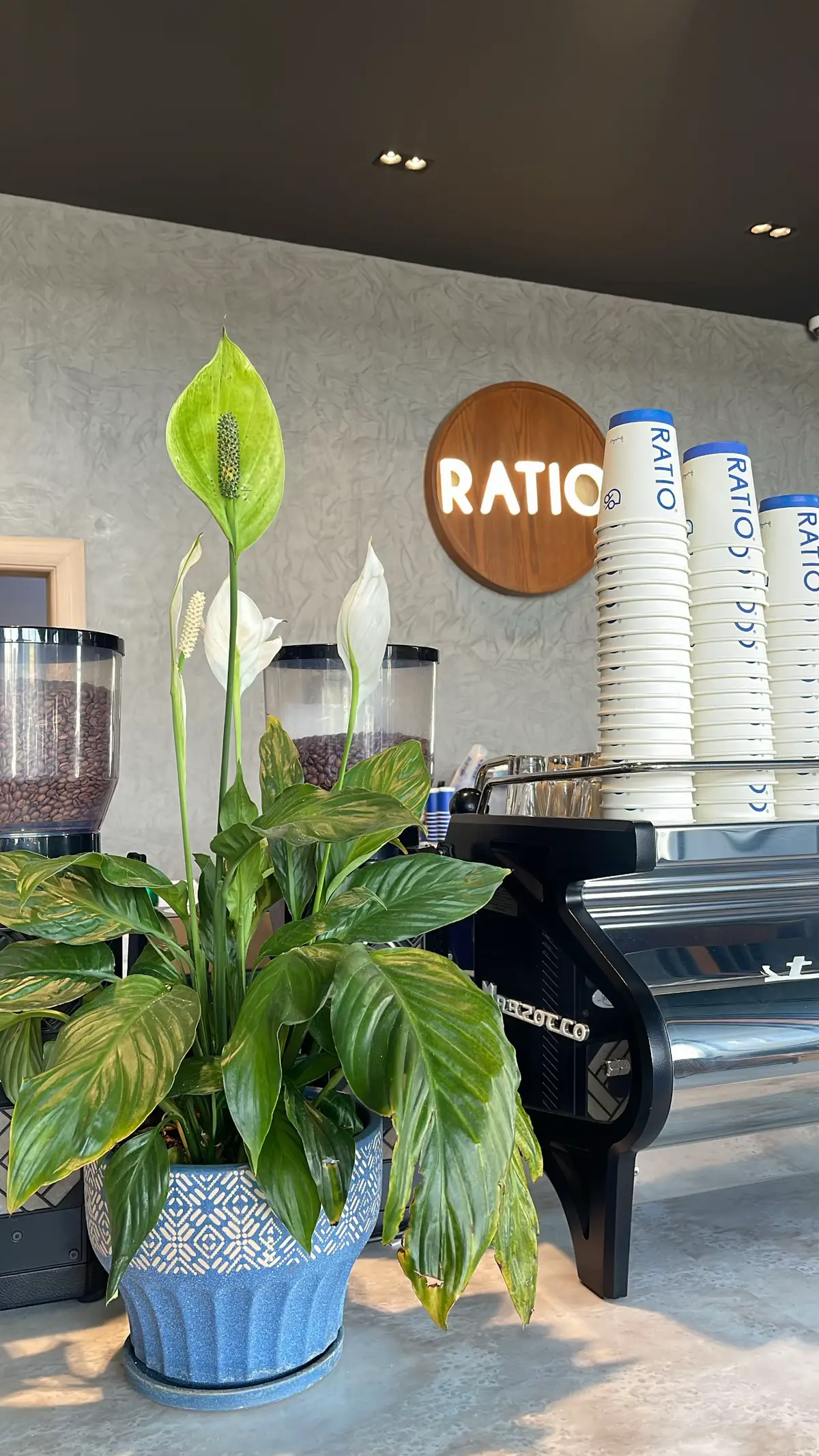 #explore #e #fyp #pubgmobile #تمريض 