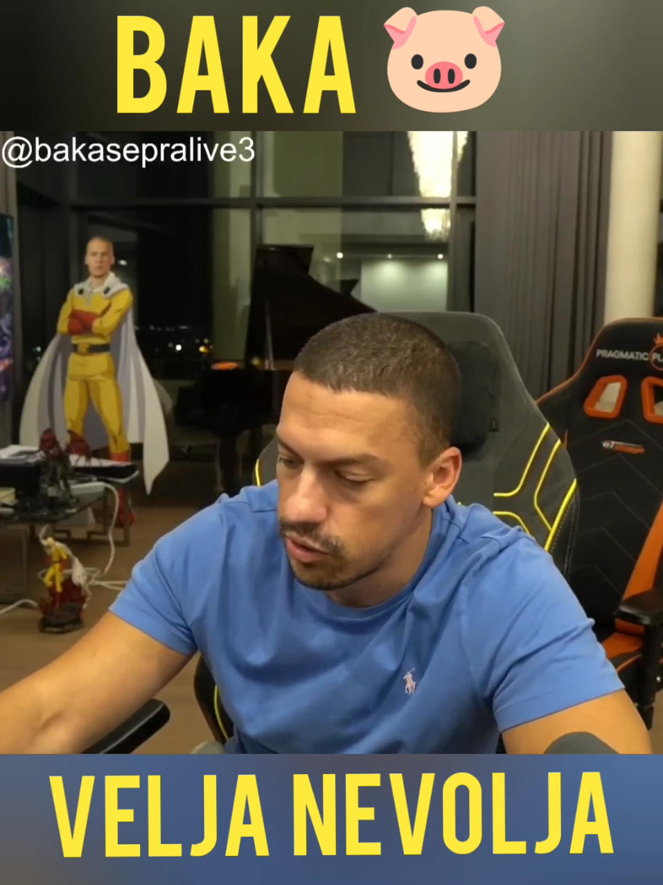 Baka Prase o Velji Nevolji! #bakaprase #veljanevolja 