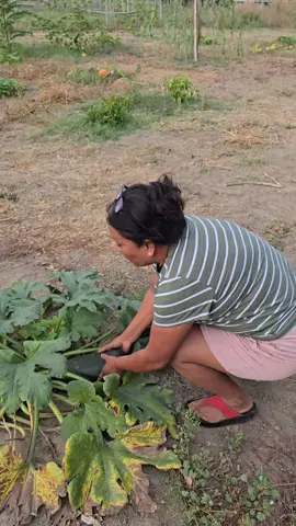 @rubyyanez64 @Gustavo Palomares745 