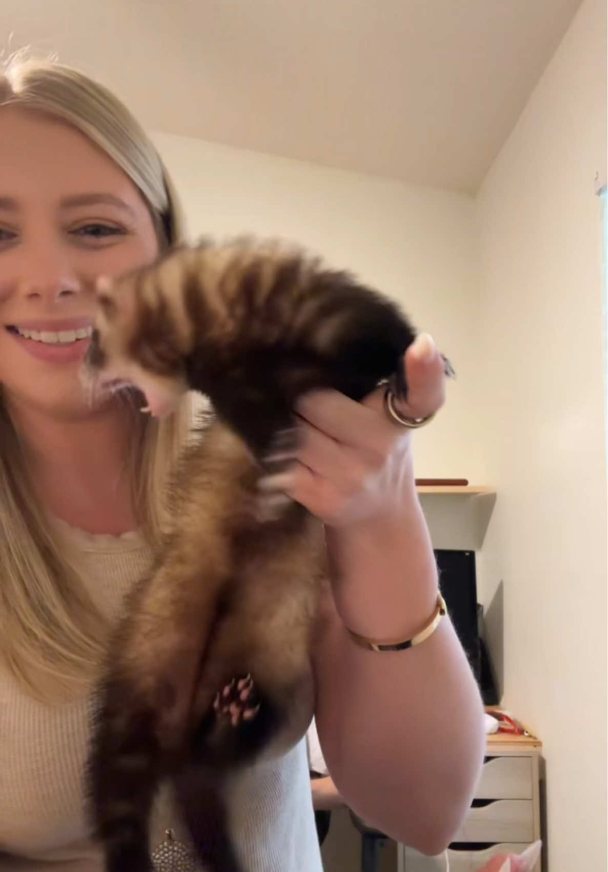 No really she bites. But we love our little carpet shark #ferret #ferretsoftiktok #microferret 