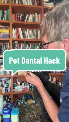 Simple Hack to Save on Veterinary Fees #hack #veterinary #dental #dogcare #gingivitis 
