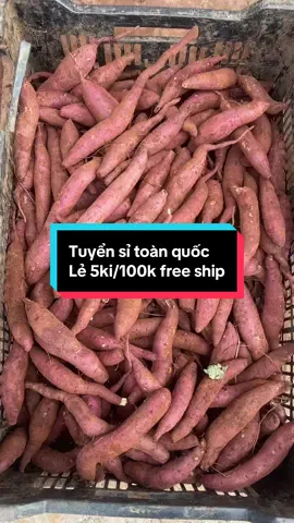 Tuyển.sỉ sll.#chịbakhoailang 