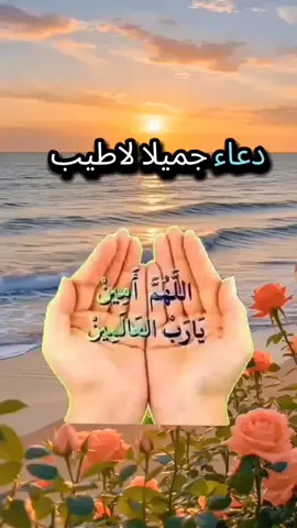 #LIVEIncentiveProgram #LIVEwithlowfollowers #PaidPartnership 