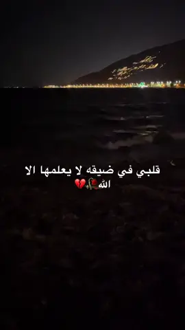 #ياقلبي_وش_فيك_توجعني💔 #💔💔 