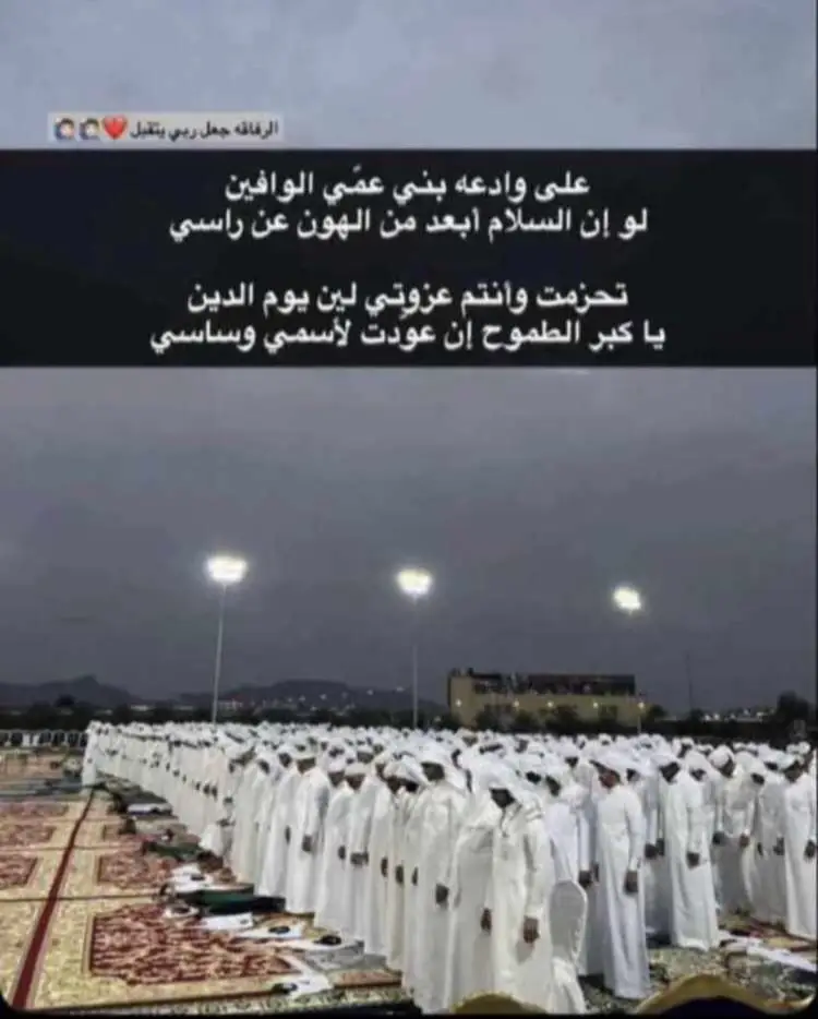 #وادعه_همدان #نجران #بني_حشيش #الموفجه 