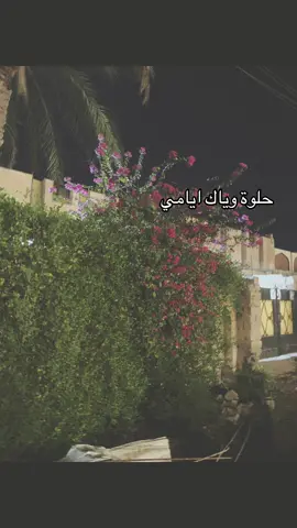 حبيت الاغنيه 😭♥️.#اكسبلور #شعب_الصيني_ماله_حل😂😂 #مالي_خلق_احط_هاشتاقات🧢 #تخمطين_اعتبرج_فانزه_الي💆🏻‍♀️#احبكمم 