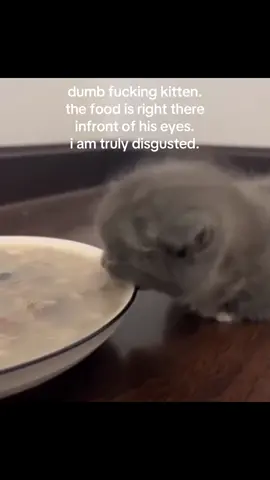 dont blame him what is even that.. #spirituality #kitty 