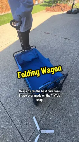 Collapses in seconds, carries everything 👏  #SmartStorage #FoldingWagon #MomHac