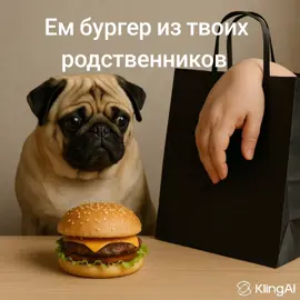 даже твоих крёстных #мопс #мопсы #друн #мурино #fyp #fyr #рофл 