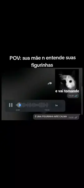 KKKKKKKKK VAI TOMANDO 🕊️💔 #fypp #whatsapp #figurinha #mae #funny