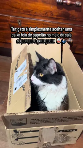 alguém mais concorda com isso?🤡 #gato #gatos #frajolito#caixa #humor  