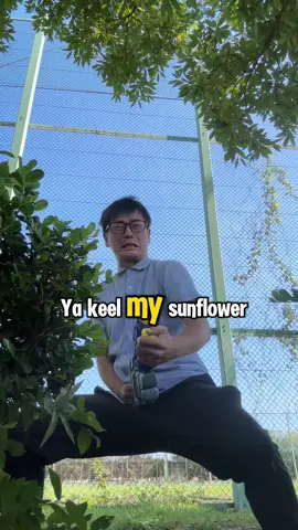 It’s a difficult process, but it’s totally legal in japan! #learnjapanese #filthyfrank #commedy #fyp 