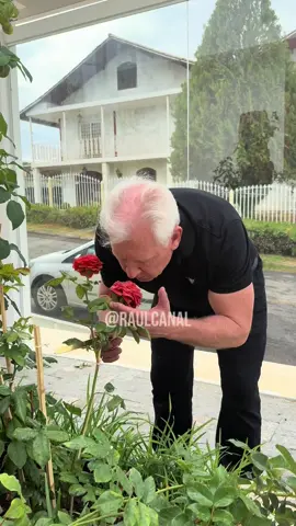 Quantas rosas já roubaram do nosso jardim?  #corrupção #corruptos 