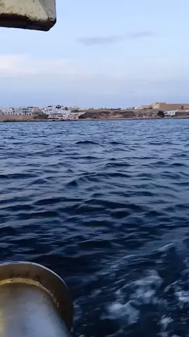 #💗✌️ الحمد الله على كل حال 🦈🦈