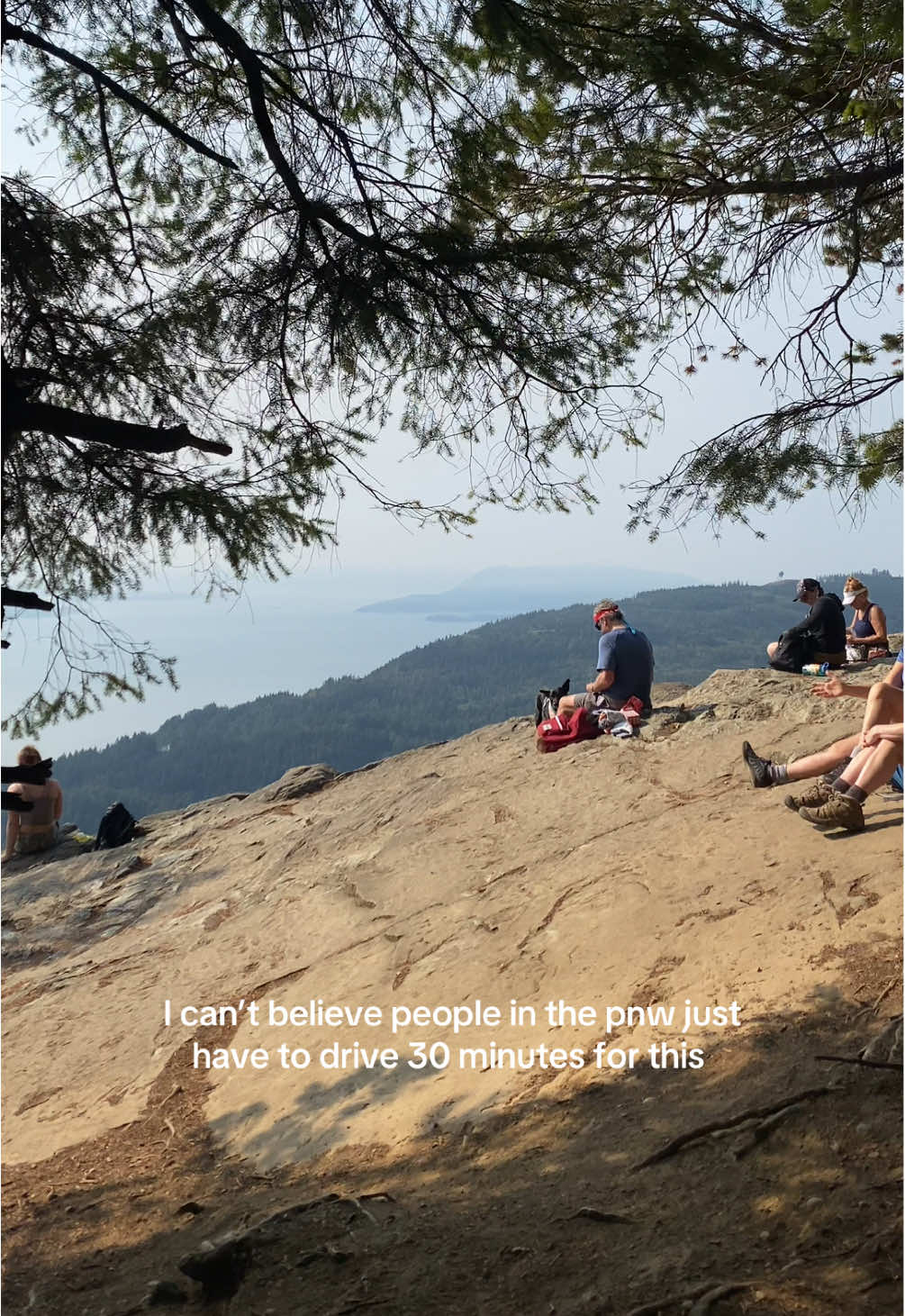 Should I move here? #pnw #Hiking #oysterdome #mtrainier #washington 