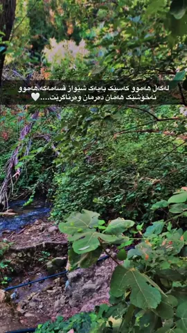 #halabja #foryou #fyp #byara 
