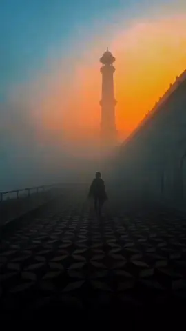 وَلَسَوْفَ يُعْطِيكَ رَبُّكَ فَتَرْضَى ❤️‍🩹 الشيخ محمود الشحات أنور| سورة الضحى  #الشيخ_محمود_الشحات_انور #ولسوف_يعطيك_ربك_فترضى #سورة_الضحى #قران_كريم #قران 