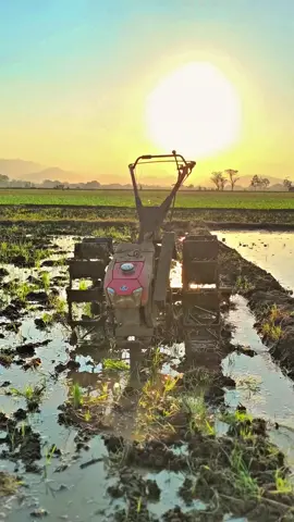 #kubota #traktorkubota #traktor #traktorsawah #traktormaniaindonesia 