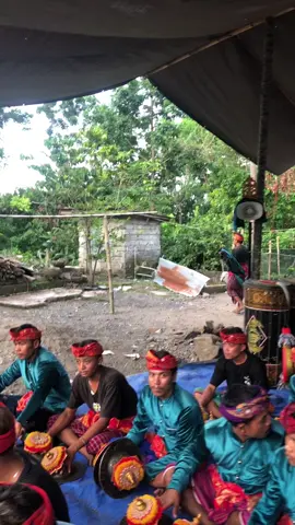 Aduhhhhh India malik😂😭 #gbkmta #fyppppppppppppppppppppppp #lombokvirall🌴🌴 #kecimol #KMTA 